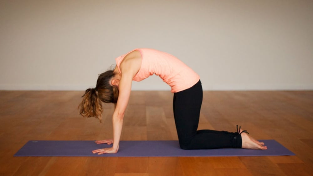 A set of basic yoga poses. A young girl is doing yoga. A collection of yoga  poses isolated on a white background. Vector flat illustration 26534864  Vector Art at Vecteezy