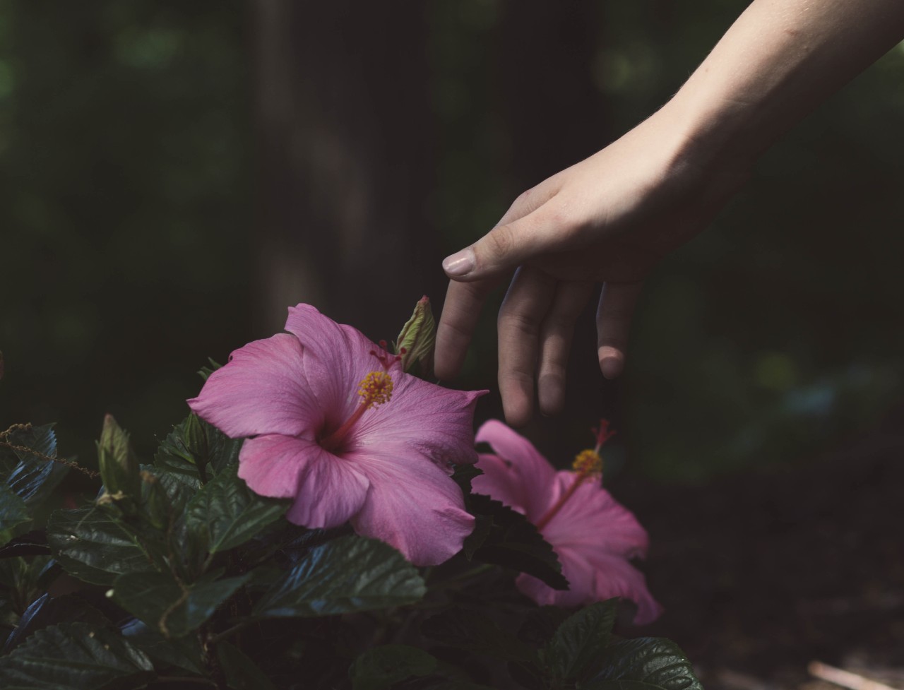 3 simple ways to be present
