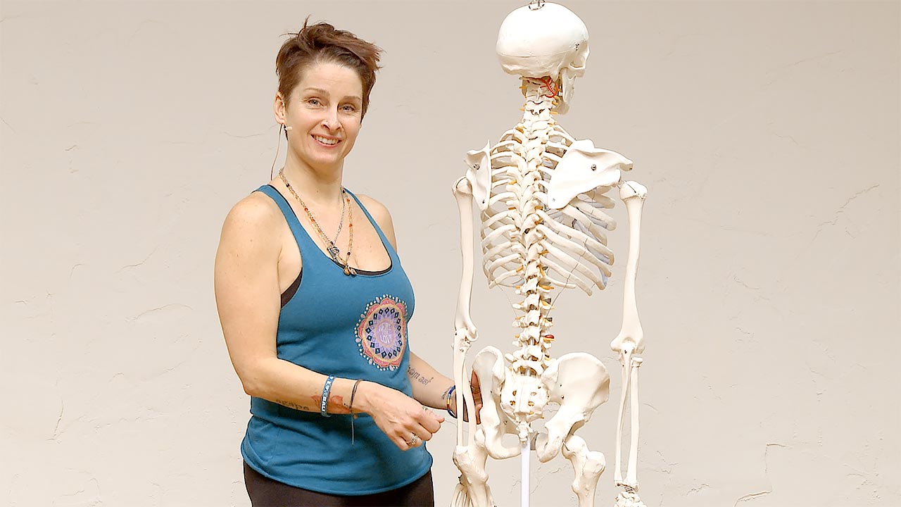 Yoga anatomy class sacroiliac joint