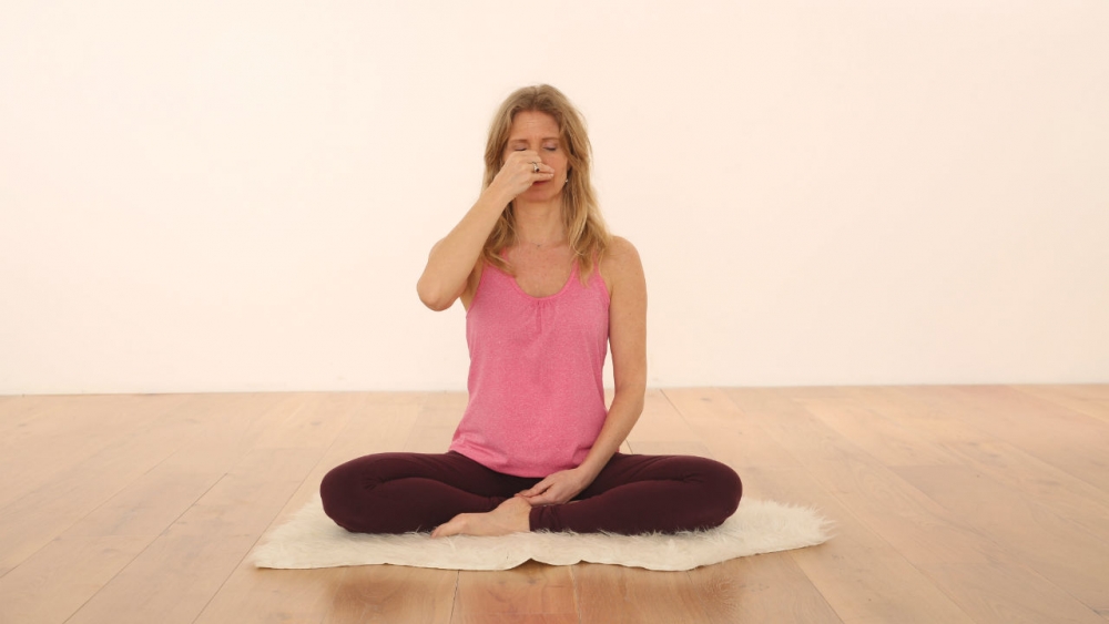 what is pranayama