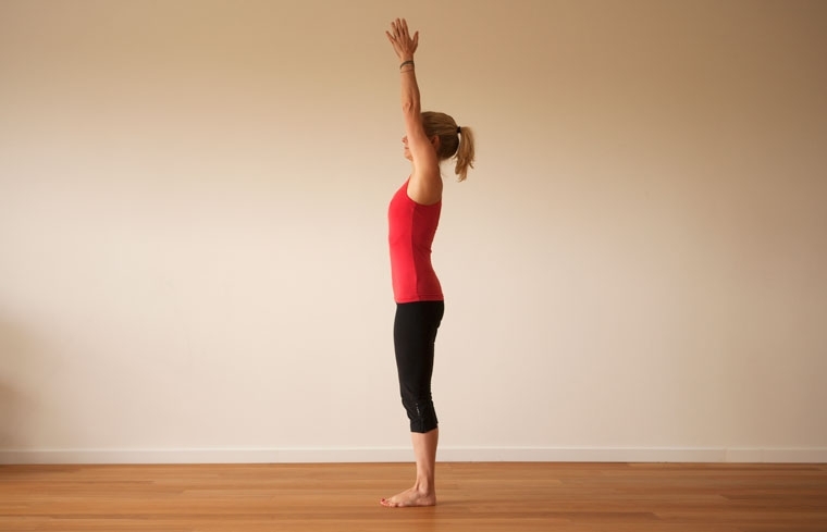 Staff (Dandasana) – Yoga Poses Guide by WorkoutLabs