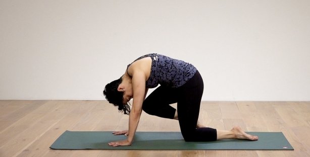 Benefits of Marjaryasana/Bitilasana: 5 Reasons Why You Should Do the Cat/Cow  Yoga Pose Every Day | India.com