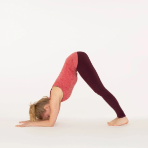 Dolphin pose Ekhart yoga