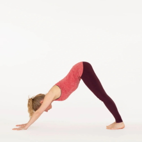 Downward Facing Dog Pose Adho Mukha Svanasana