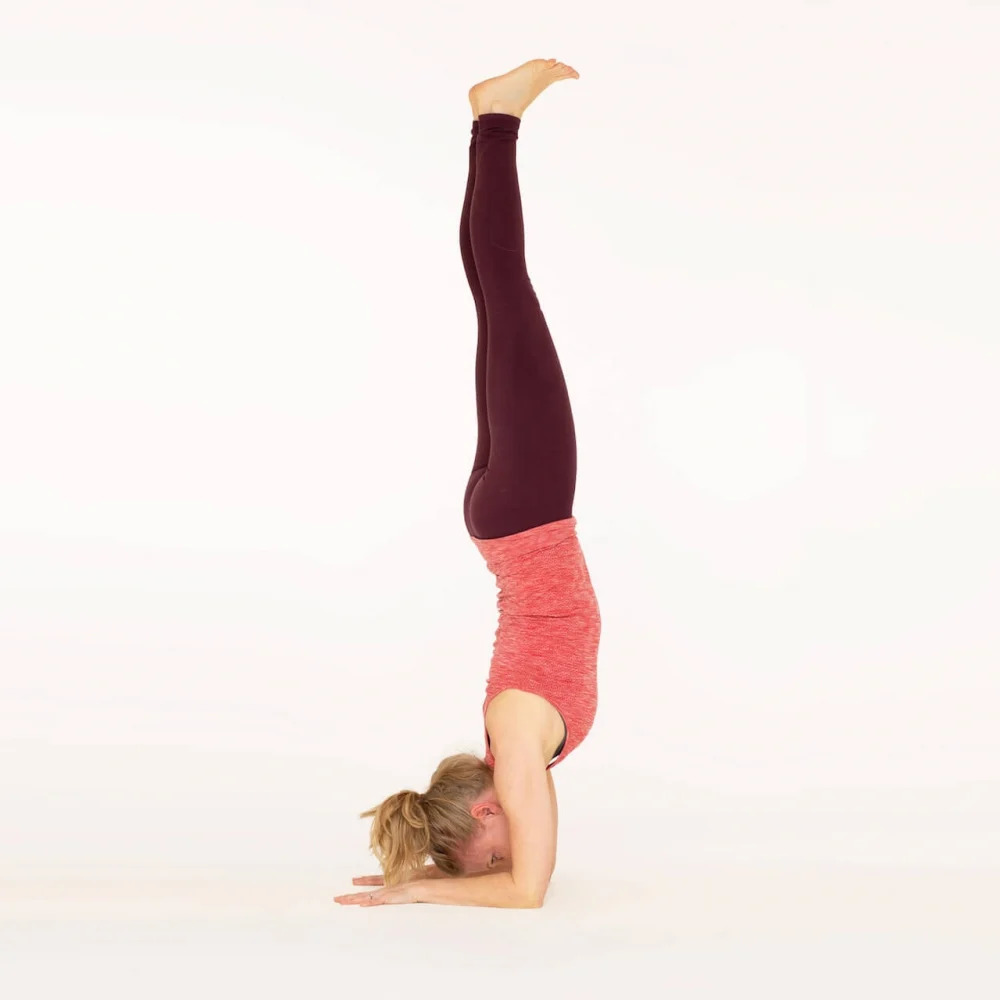 Forearm Balance - Ekhart Yoga