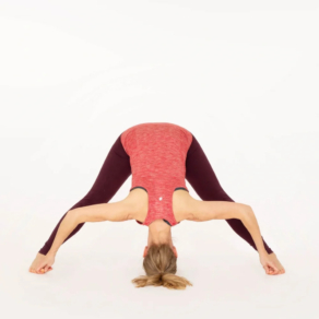 Prasarita Padottanasana D Forward fold Yoga pose