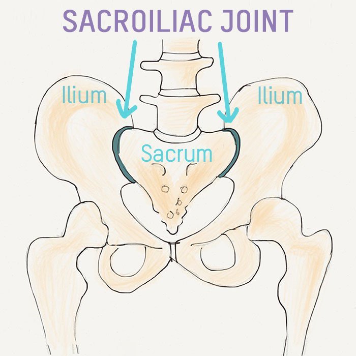 points of origin of the piriformis muscle