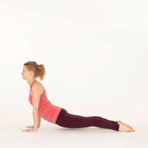 Upward facing dog yoga pose Urdhva Mukha Svanasana