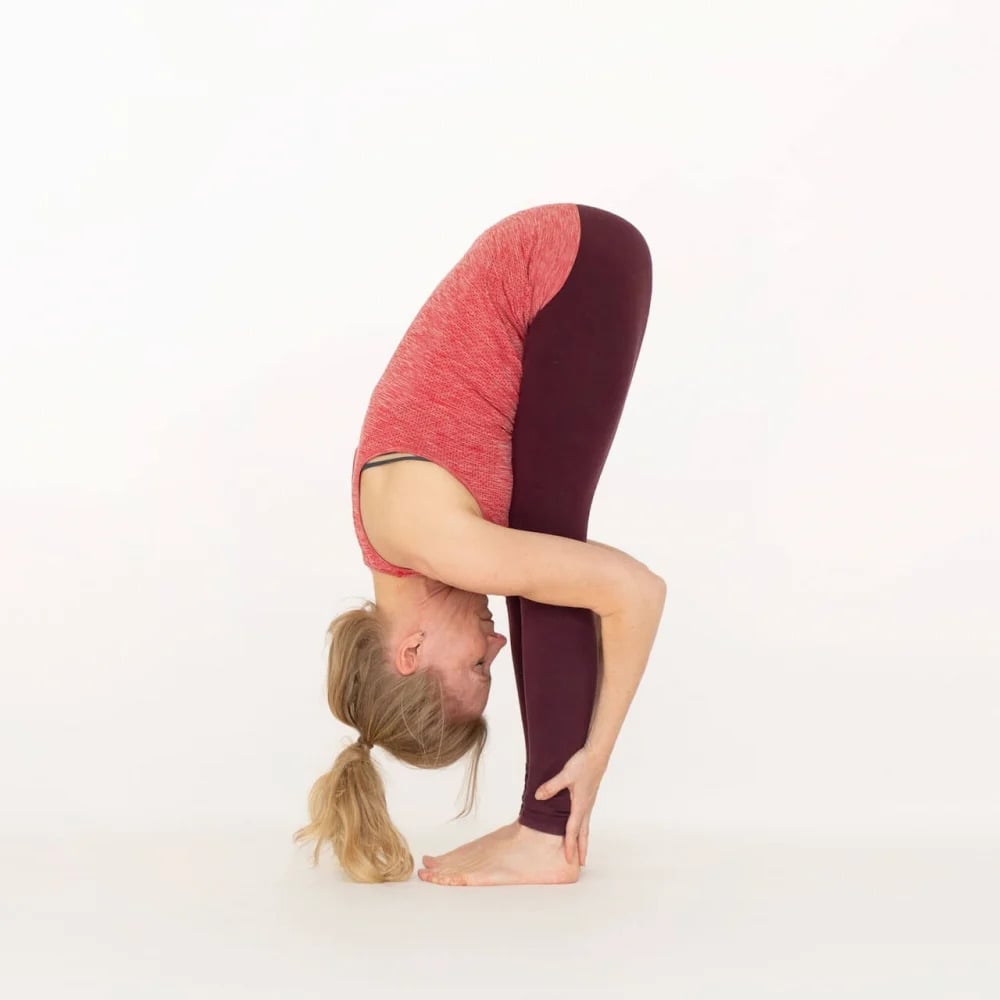 Sporty fit woman practices bending yoga asana Uttanasana - standing forward bend  pose Stock Photo - Alamy