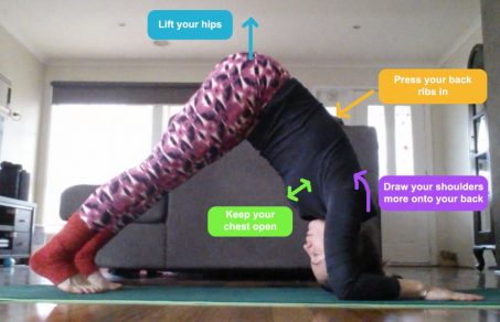 Esther's yoga pose advice - Forearm Balance - Ekhart Yoga