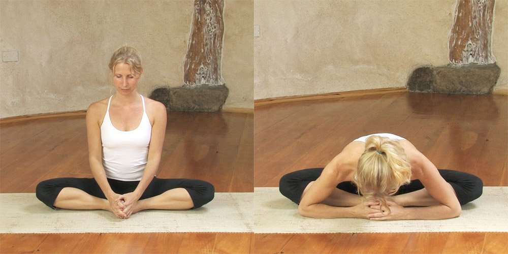 Reclining Butterfly Pose (Supta Baddhakonasana): Steps and Benefits -  Fitsri Yoga