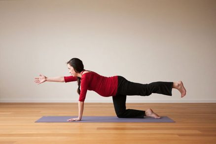 pregnancy yoga bird dog pose