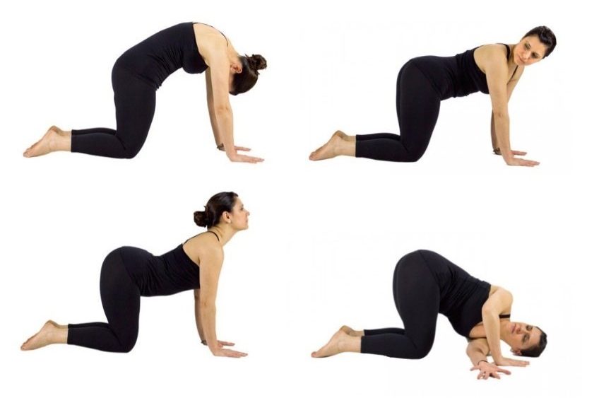 yoga poses for the spine